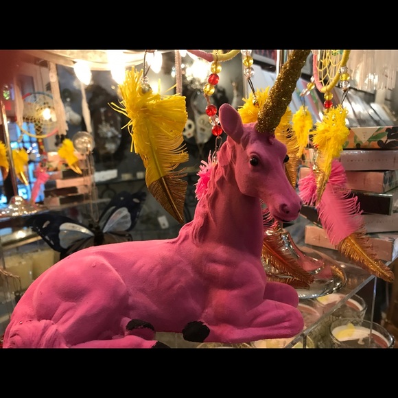 Hello out there! - Picture 4 of 4